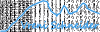 Logo Vreni Schneider Ski-, Snowboard- u. Rennschule Elm